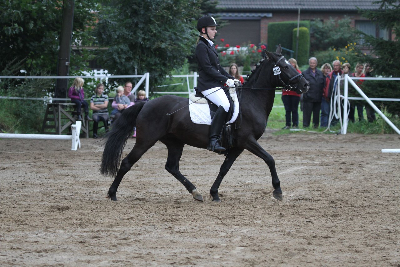 Bild 289 - WBO-Turnier am 18.9.11